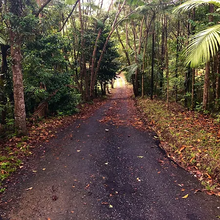 Daintree Manor B&B-2